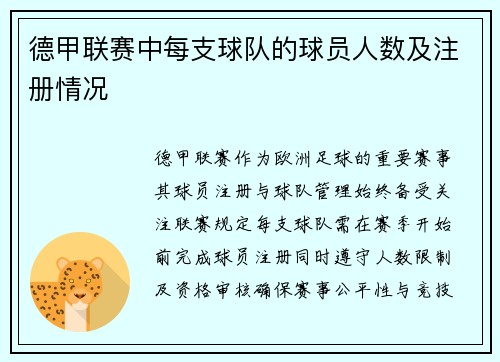 德甲联赛中每支球队的球员人数及注册情况